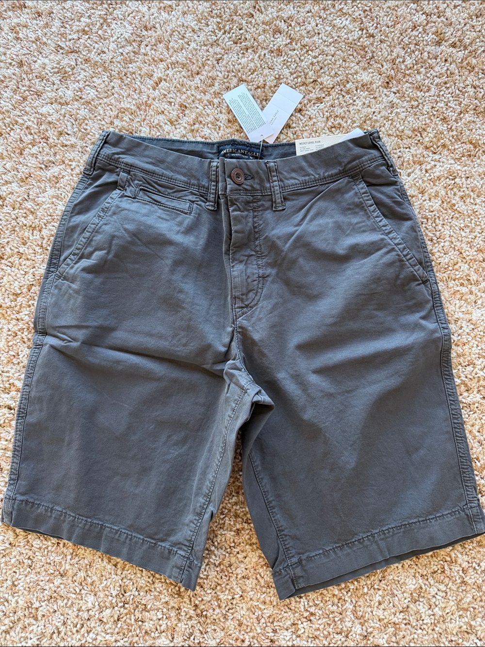 American Eagle Outfitters Men's Flat Front Shorts - Charcoal Gray